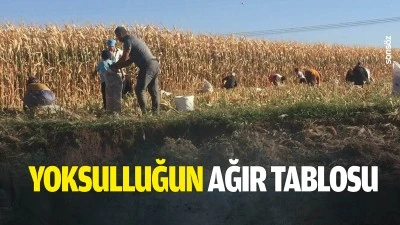 Yoksulluğun ağır tablosu