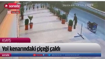 Yol kenarındaki &ccedil;i&ccedil;eği &ccedil;aldı