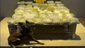 Yolcu otob&uuml;s&uuml;nde 51 kilo 360 gram uyuşturucu ele ge&ccedil;irildi