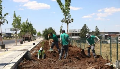 Yolun &ccedil;ehresi 23 bin yeni bitkiyle değişiyor