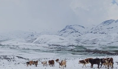 Y&uuml;ksek kesimlerde kar etkili oldu
