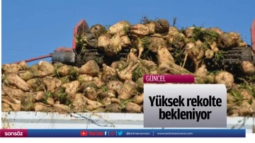 Y&uuml;ksek rekolte bekleniyor