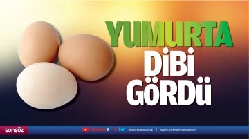 Yumurta dibi g&ouml;rd&uuml;