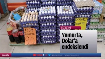 Yumurta, Dolar&rsquo;a endekslendi