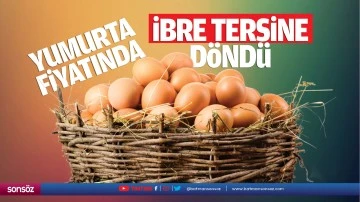 Yumurta fiyatında ibre tersine d&ouml;nd&uuml;