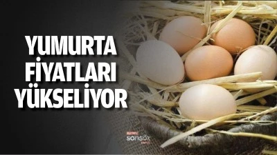 Yumurta fiyatları y&uuml;kseliyor 