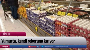 Yumurta, kendi rekorunu kırıyor