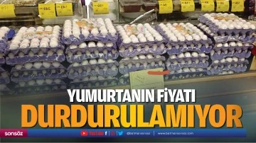 Yumurtanın fiyatı durdurulamıyor