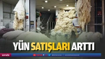 Y&uuml;n satışları arttı