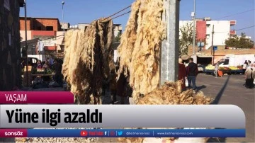 Y&uuml;ne ilgi azaldı