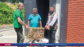 Yurda sokulan 6 Hint şebeği ele ge&ccedil;irildi