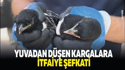 Yuvadan d&uuml;şen kargalara itfaiye şefkati