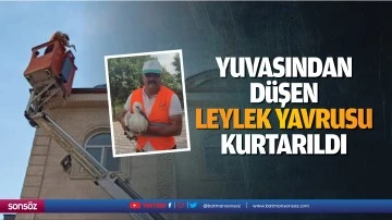 Yuvasından d&uuml;şen leylek yavrusu kurtarıldı
