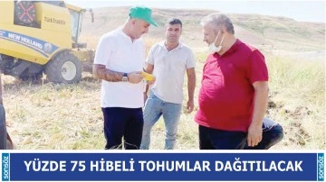 Y&uuml;zde 75 hibeli tohumlar dağıtılacak
