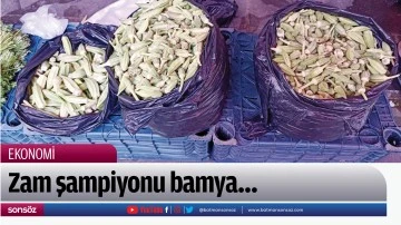 Zam şampiyonu bamya&hellip;  