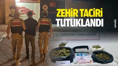 Zehir taciri tutuklandı