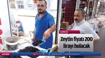 Zeytin fiyatı 200 lirayı bulacak