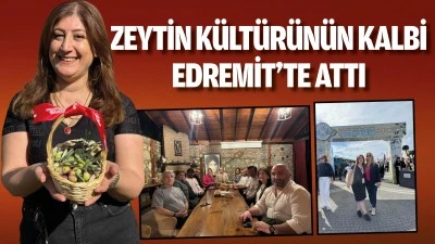 Zeytin k&uuml;lt&uuml;r&uuml;n&uuml;n kalbi Edremit&rsquo;te attı