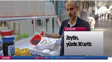 Zeytin, y&uuml;zde 30 arttı
