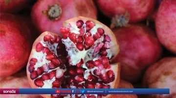 Zivzik narının satışına başlandı
