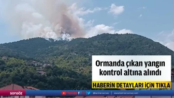 Zonguldak'ta ormanlık alanda &ccedil;ıkan yangın kontrol altına alındı