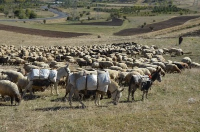 Zorlu g&ouml;&ccedil; başladı