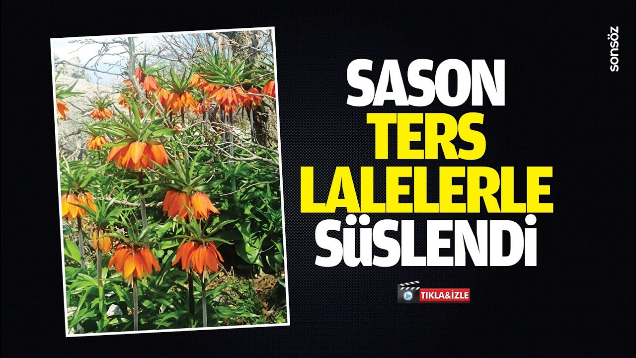 Sason, ters lalelerle s&uuml;slendi