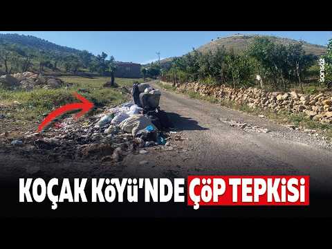 Ko&ccedil;ak K&ouml;y&uuml;'nde &ccedil;&ouml;p tepkisi