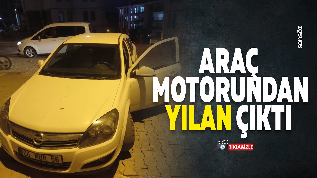 Ara&ccedil; motorundan yılan &ccedil;ıktı