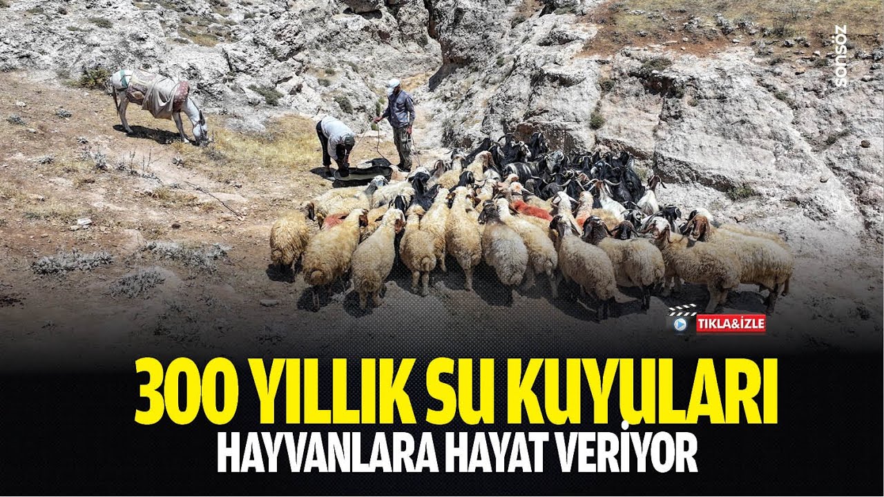 300 yıllık su kuyuları, hayvanlara hayat veriyor