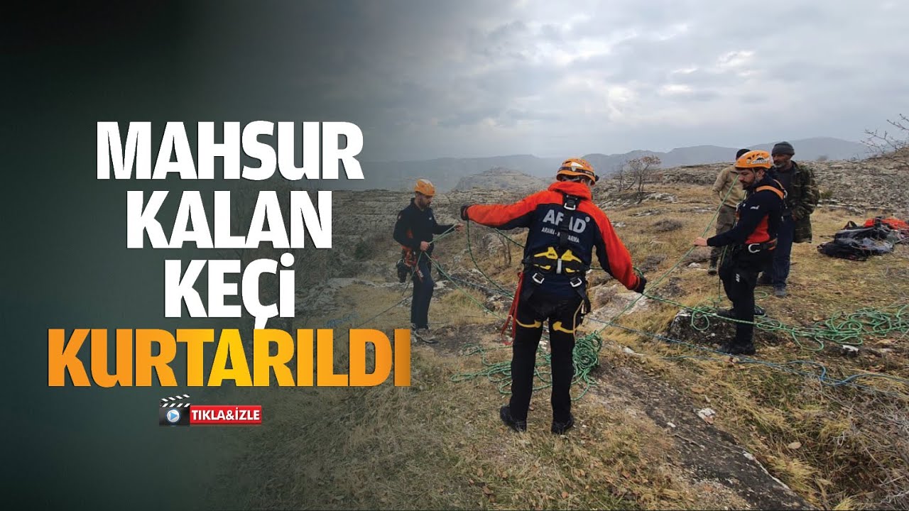 Mahsur kalan ke&ccedil;i kurtarıldı