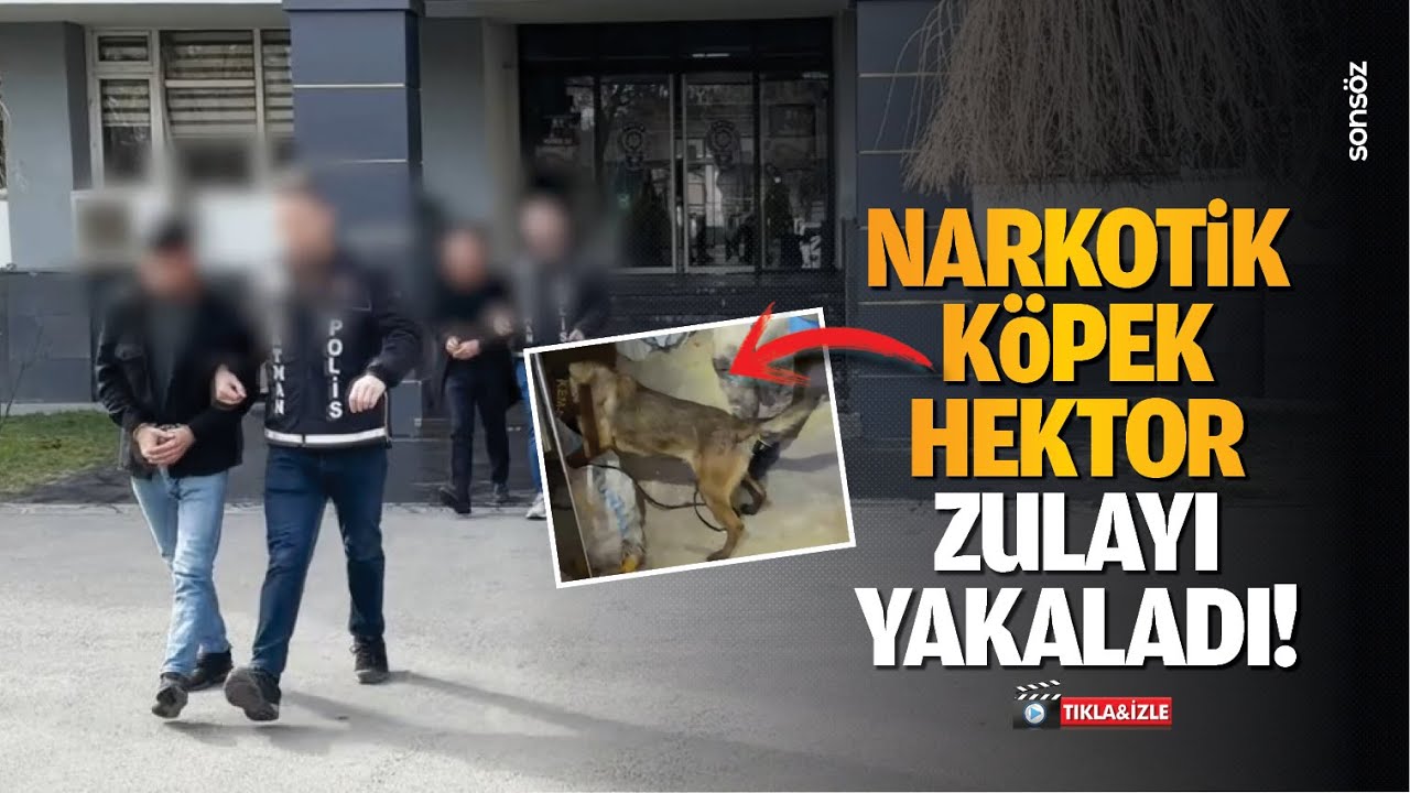 Narkotik k&ouml;pek Hektor, zulayı yakaladı!
