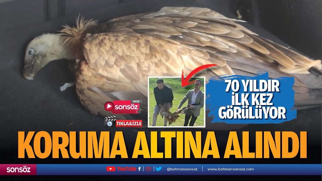 70 yıldır ilk kez g&ouml;r&uuml;l&uuml;yor