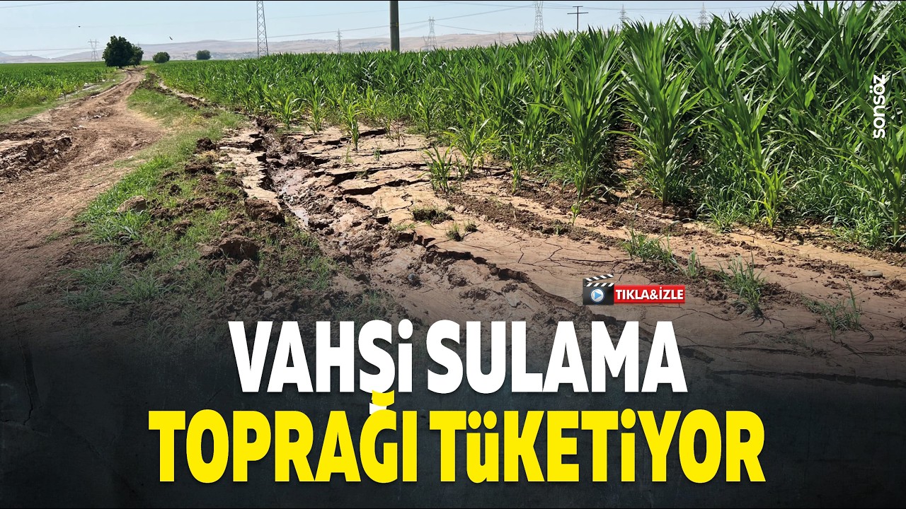 Vahşi sulama toprağı t&uuml;ketiyor