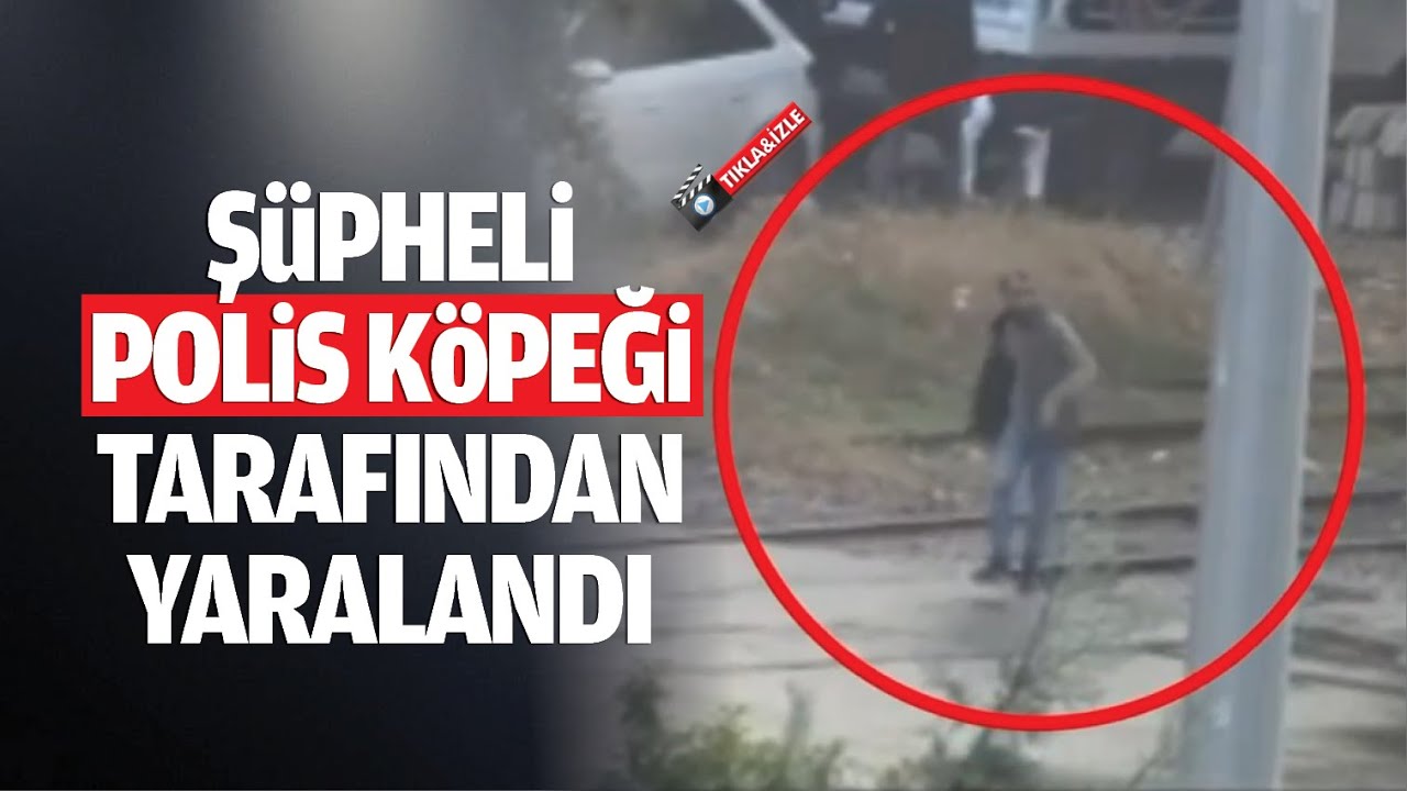 Ş&uuml;pheli, polis k&ouml;peği tarafından yaralandı