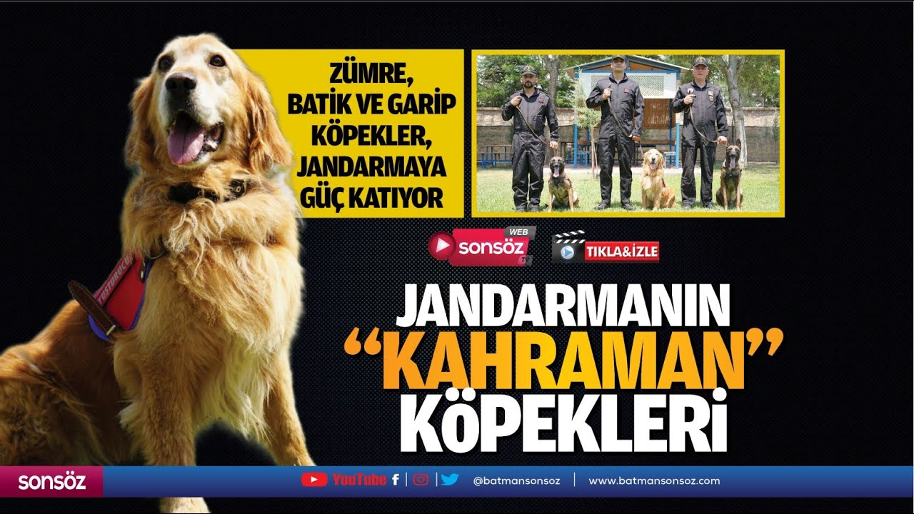 Jandarmanın "kahraman" k&ouml;pekleri