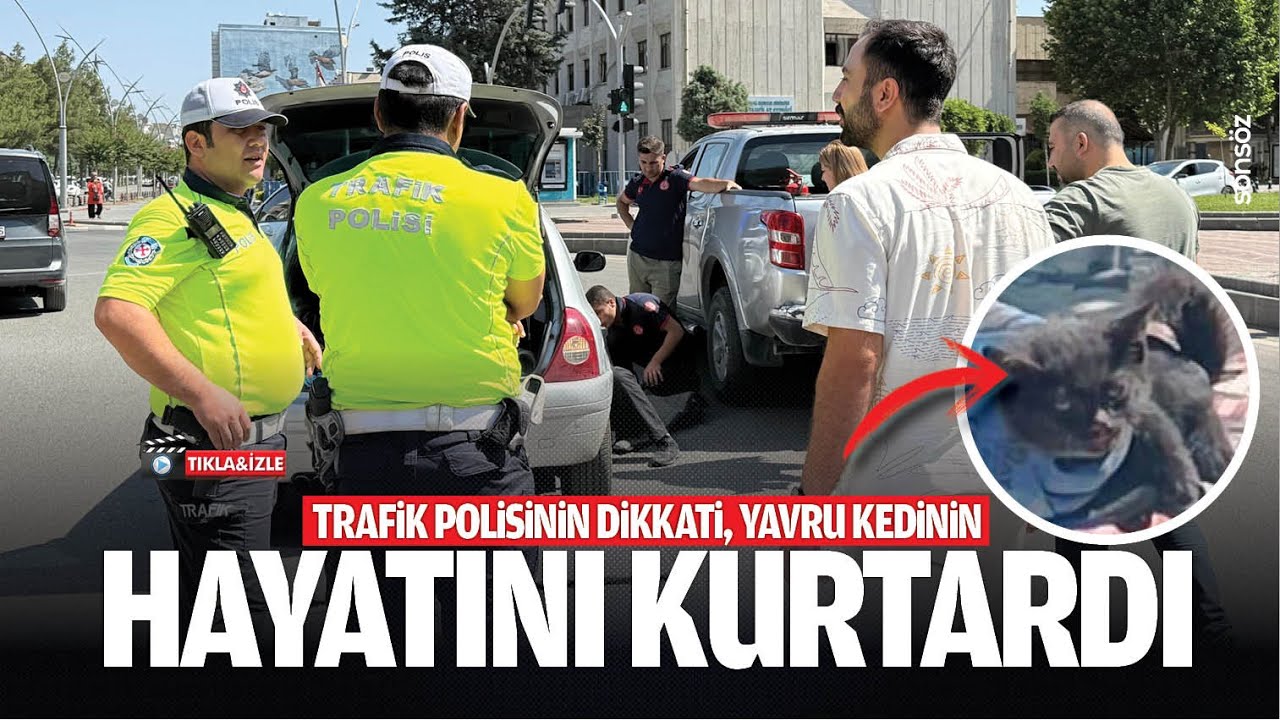 Trafik polisinin dikkati, yavru kedinin hayatını kurtardı